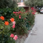 Apartment Olive Jovici (Zadar)