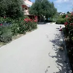 Olive Jovici (Zadar)