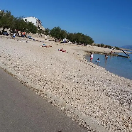 Olive Jovici (Zadar)