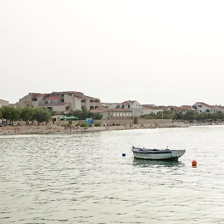 Olive * Jovici (Zadar)