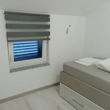 Olive * Jovici (Zadar)