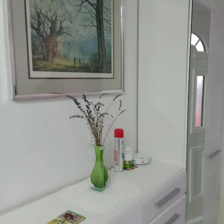 Olive Apartment