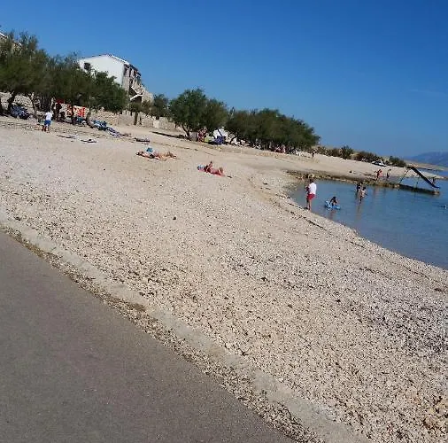 Olive Jovici (Zadar)