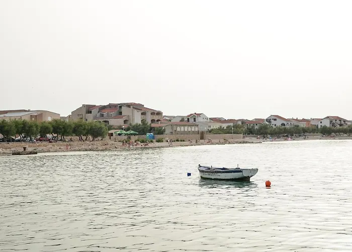 Olive * Jovici (Zadar)