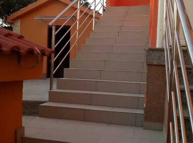 Olive Jovici (Zadar)