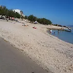 Olive Jovici (Zadar)