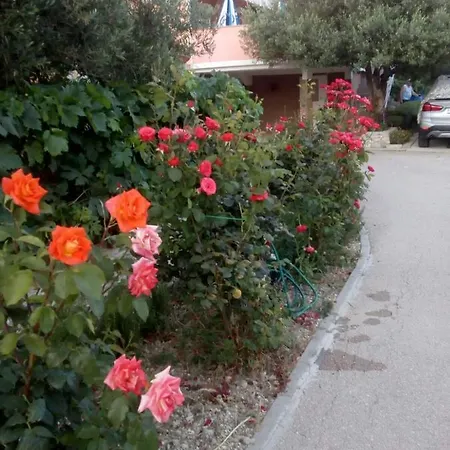 Apartmán Olive Jovici (Zadar)
