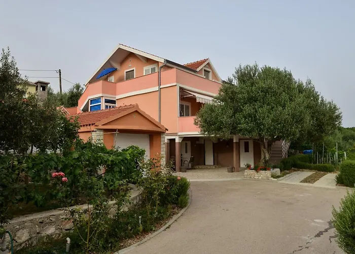 Olive * Jovici (Zadar)