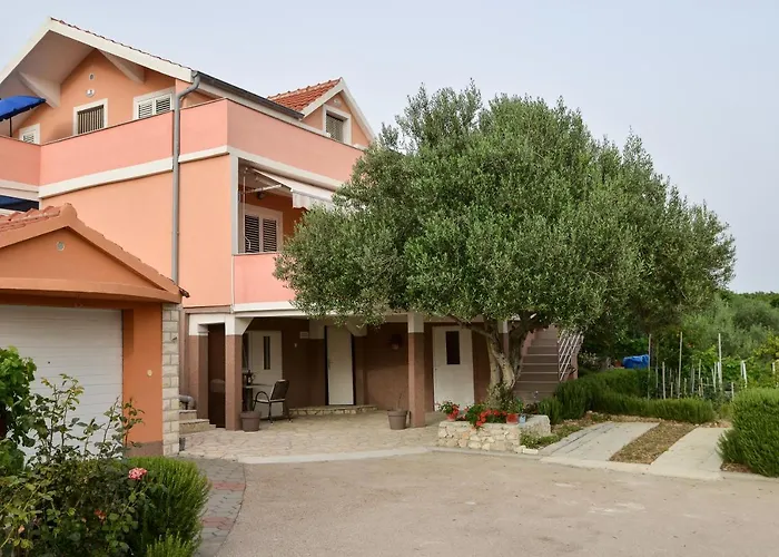 Olive Apartament