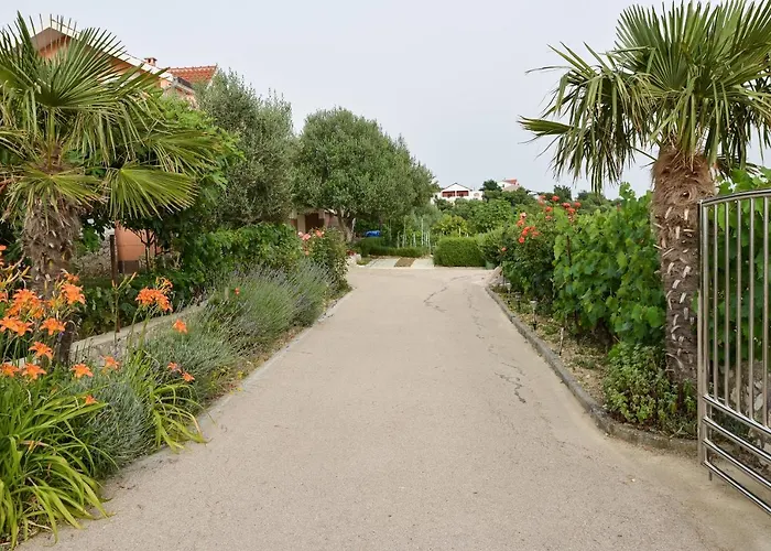 Olive Апартаменты Jovici (Zadar)