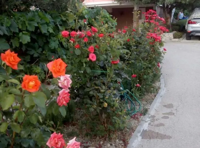 아파트 Olive Jovici (Zadar)